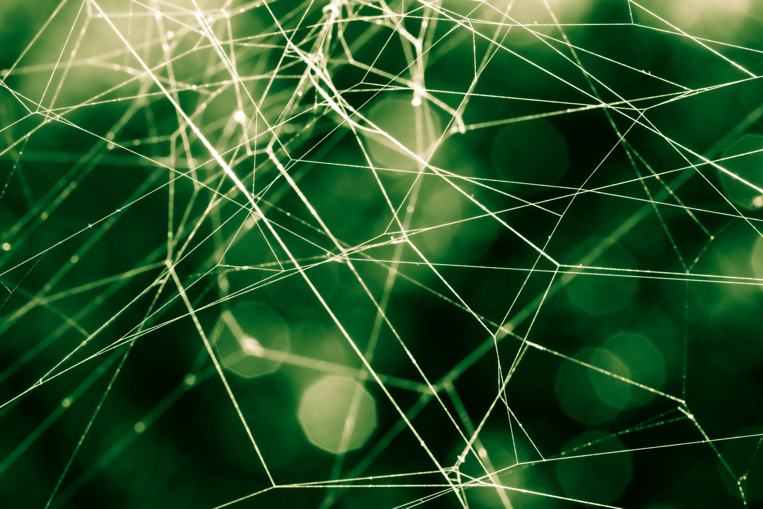 green neural networks